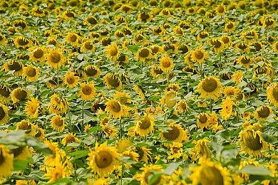 《霍格沃茨之遗》新福利 关联账号即可获特殊奖励